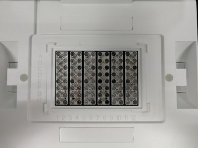 image003.jpg image003.jpg