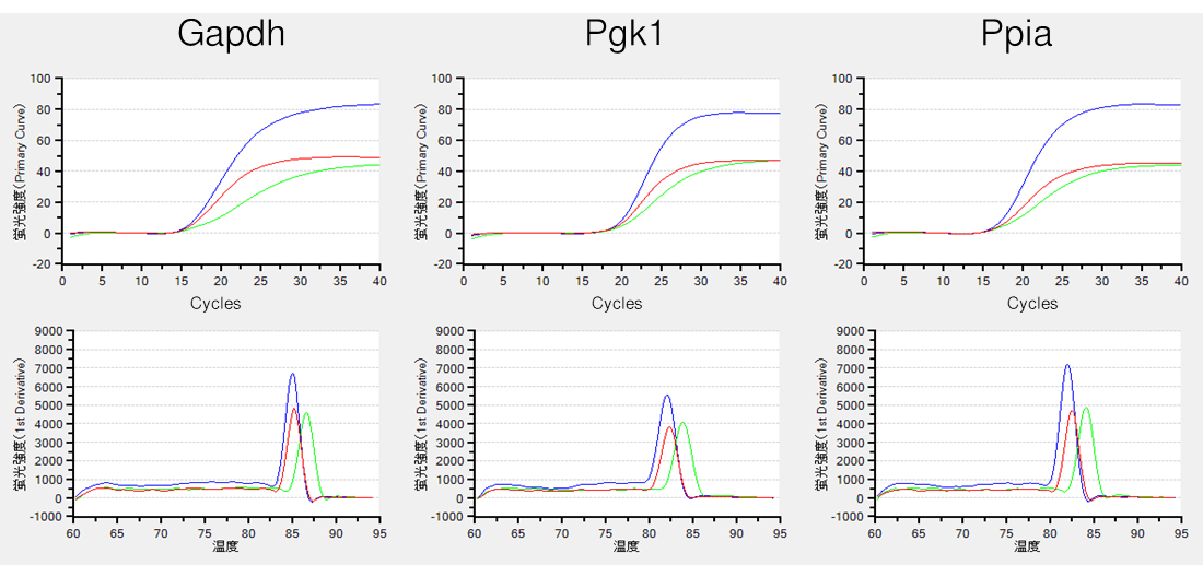 image005.png image005.png