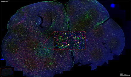 image024.png image024.png