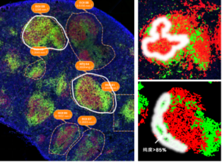 image026.png image026.png