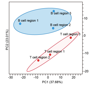 image030.png image030.png