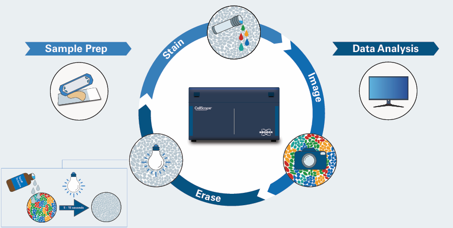 EpicIF.png EpicIF.png