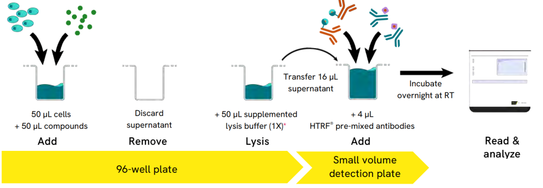 image003.png image003.png