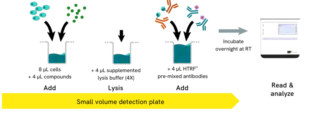 image004.png image004.png