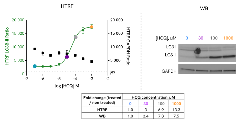 image005.png image005.png