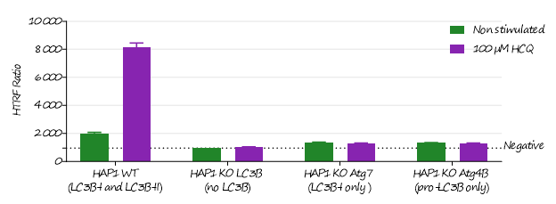 image006.png image006.png