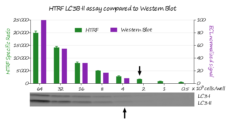 image008.png image008.png