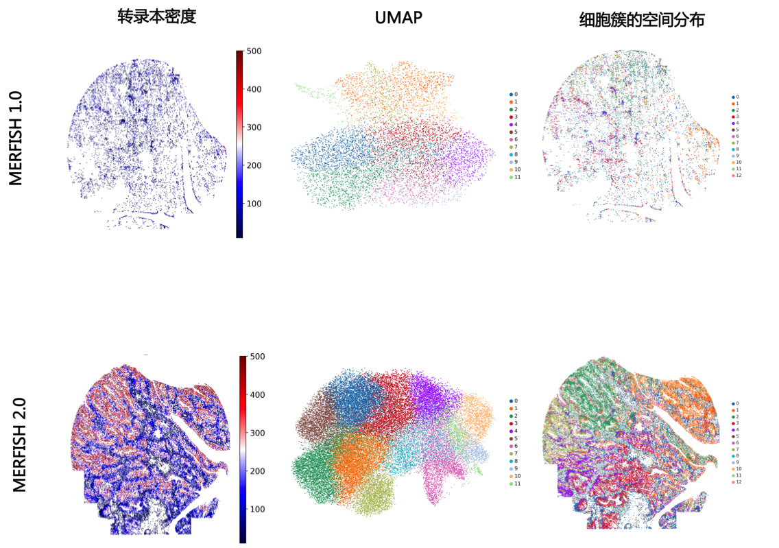 image021.png image021.png