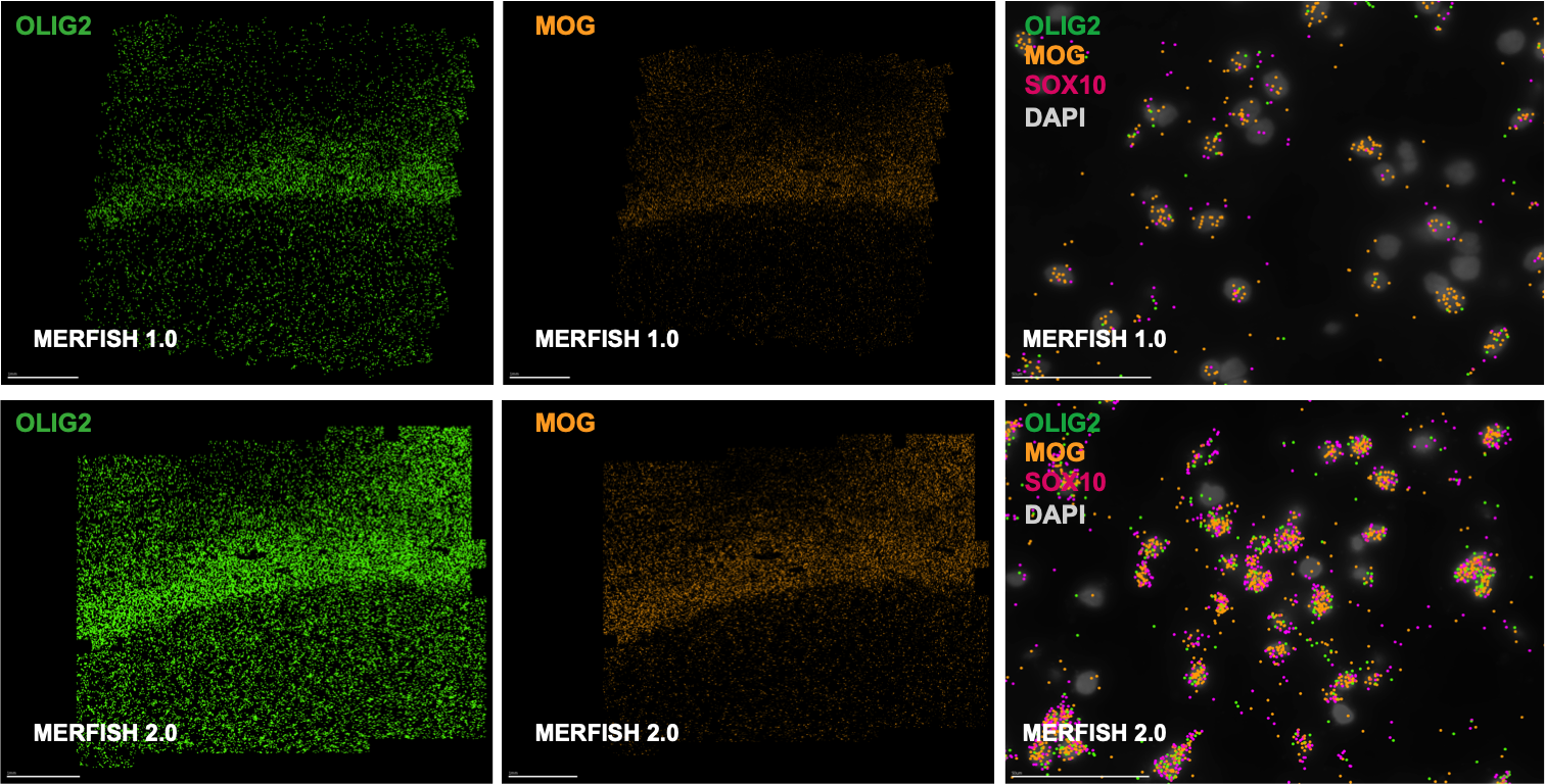 image023.png image023.png