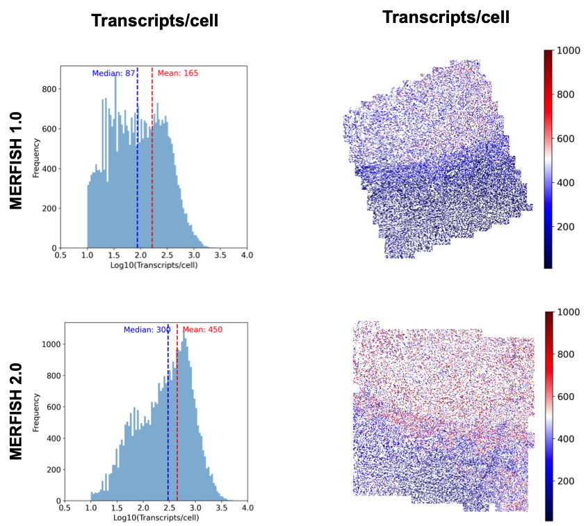 image025.png image025.png