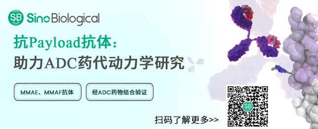 image004.png image004.png