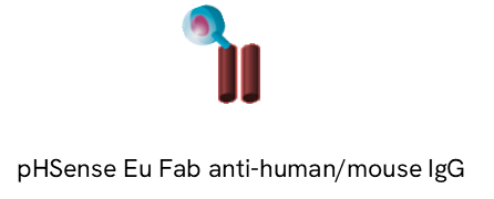 image008.png image008.png