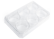 Nunclon Vita stem cell culture surface