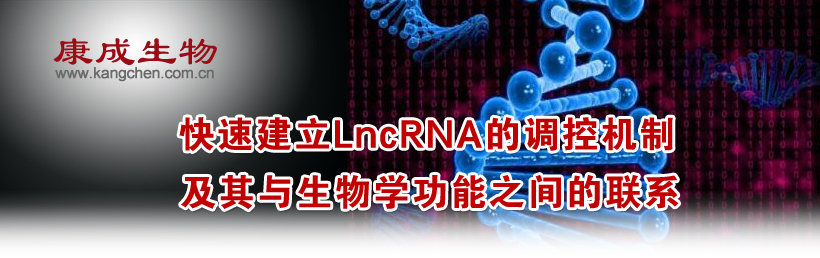 ���ٽ���LncRNA���{(di��o)�ؙC(j��)�Ƽ����c����W(xu��)����֮�g��(li��n)ϵ